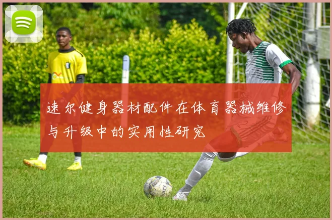 速尔健身器材配件在体育器械维修与升级中的实用性研究