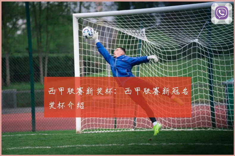 西甲联赛新奖杯：西甲联赛新冠名奖杯介绍